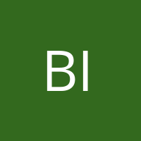 Bigus