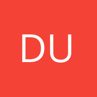 Dutch in USA