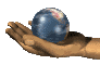 papaleo