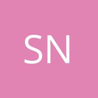 SnowdonAudio