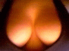 kidkj2000