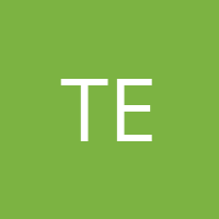 tedy