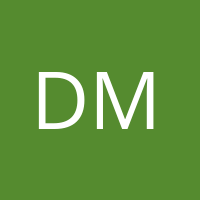 dmensi