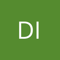 digitalwarior