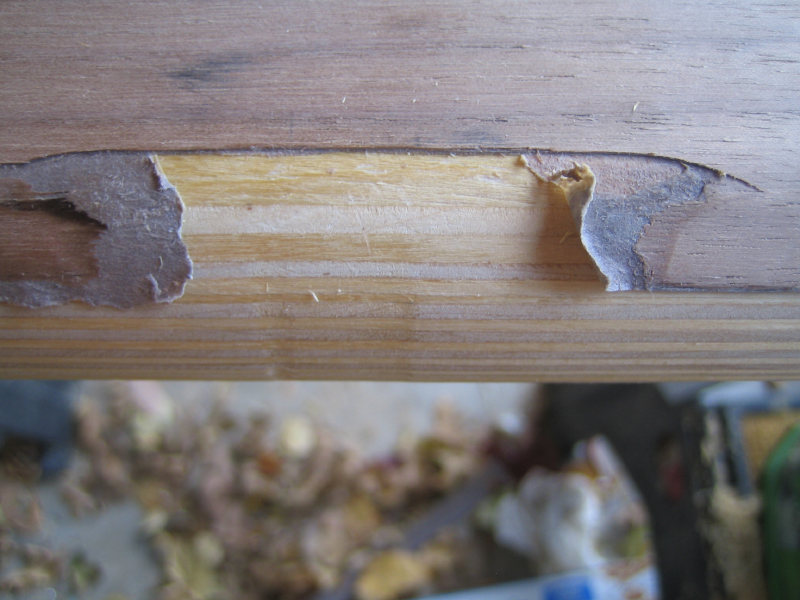 Click image for larger version

Name:	veneer_mistake2.jpg
Views:	9789
Size:	94.4 KB
ID:	855489