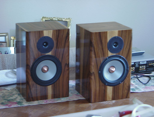 Click image for larger version

Name:	DIY_Brian1801Display.jpg
Views:	110
Size:	52.4 KB
ID:	955647